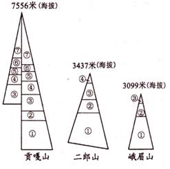 图为贡嘎山二郎山峨眉山山地垂直自然带分布示意图①