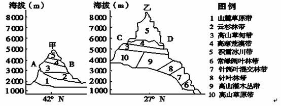 下图甲乙分别是我国天山和喜马拉雅山的垂直自然带图