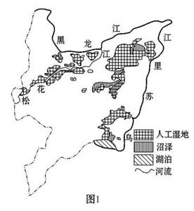 (32分)材料一 三江平原图