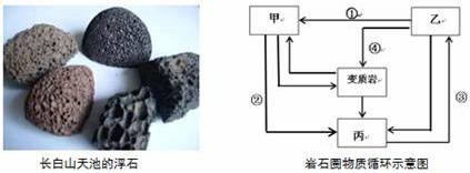 浮石,主要产于吉林省东南部长白山天池附近.该石多呈