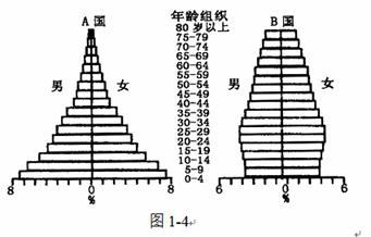 人口金字塔图的判读_人口金字塔(2)