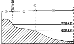 读海岸带示意图下图完成下列问题