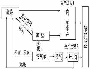 阅读以下材料和"我国北方'四位一体"生态农业模式及结构图,回答