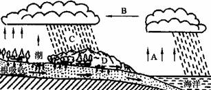 读水循环示意图,回答问题.