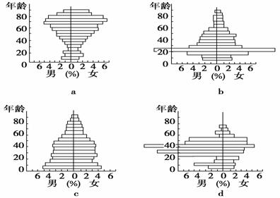 城市人口年龄结构_城市人口结构(2)