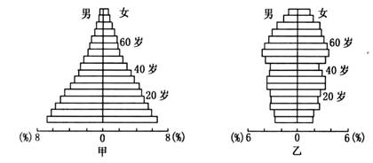 食物金字塔的结构图_人口金字塔结构图